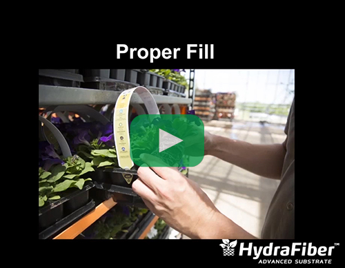 achieving proper fill rates