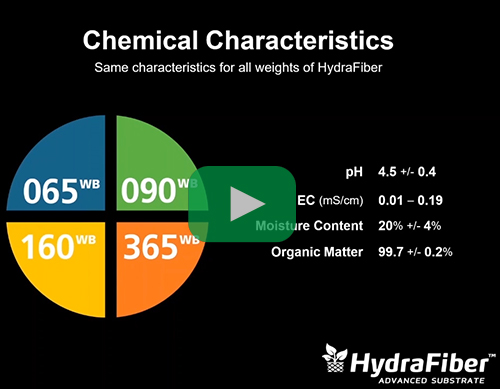 physical characteristics