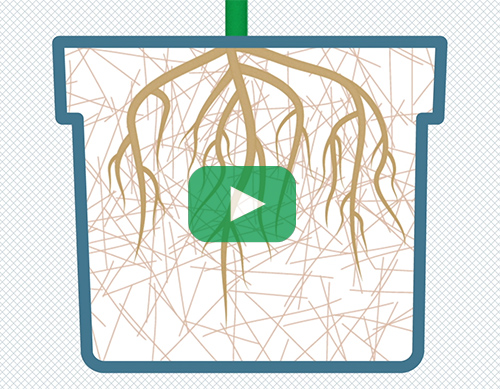 Game Changing Substrate