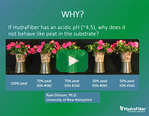 managing your ph overview