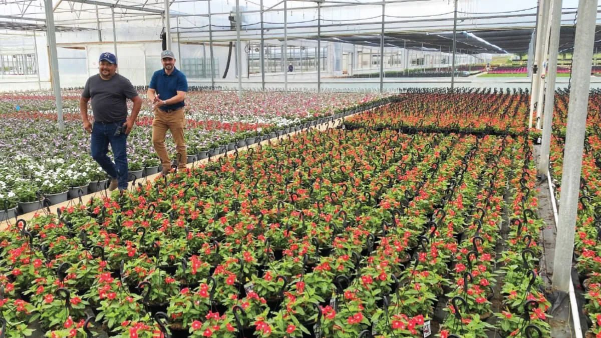 altman plants nursery