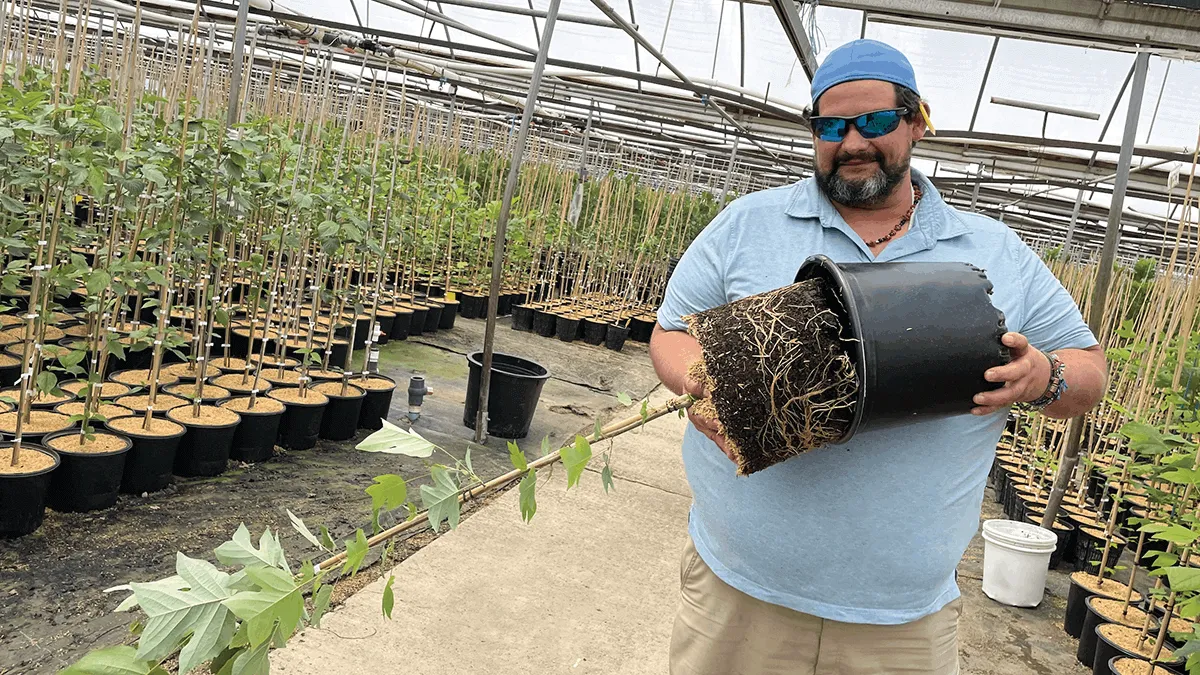 Petitti gardens with man showing roots