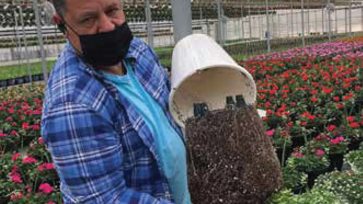 man holding plant